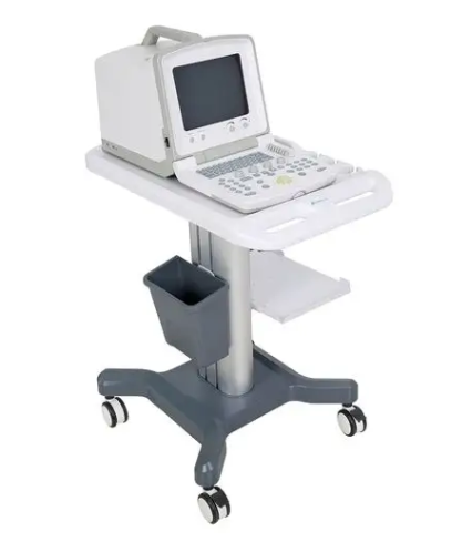 FZ-800B宫腔手术超声监视仪