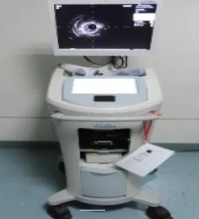 H7493932222CCM0血管内超声系统