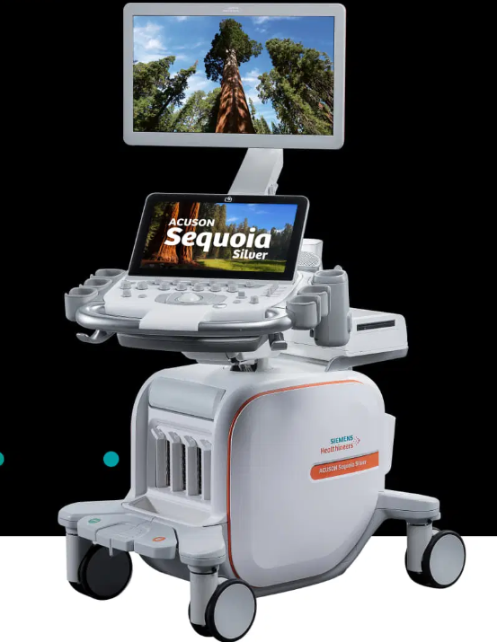 西门子超声诊断系统ACUSON Sequoia Silver直销