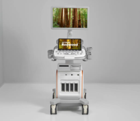 西门子超声诊断系统ACUSON Maple P代理