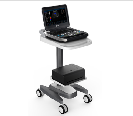 瑞华全数字彩色多普勒超声诊断仪DU8-M2代理