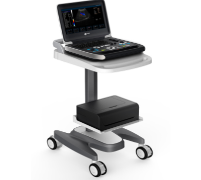 全数字彩色多普勒超声诊断仪DU8-M6瑞华询价